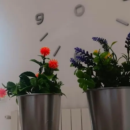 Apartment Sweet *